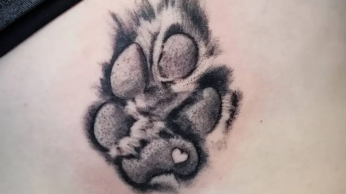 What does the Paw tattoo mean? - The furry love Connection ...